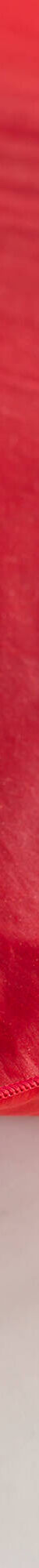 Edredon naturel duvet et plumettes (cerise) Edredon naturel duvet et plumettes (cerise)